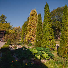 Глэмпинг Тихая Гавань, Светлогорский район, Калининградская область
