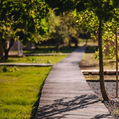 Глэмпинг Тихая Гавань, Светлогорский район, Калининградская область