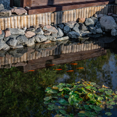 Глэмпинг Тихая Гавань, Светлогорский район, Калининградская область