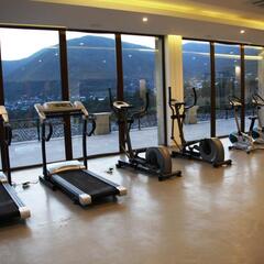 Отель Marxal Resort & Spa, Шеки