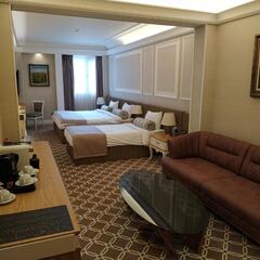 Отель Theatrum Hotel, Баку