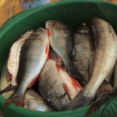 Гостевой дом Изба на Селигере у озера , Селижаровский район, Тверская область