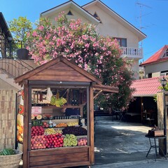 Гостевой дом У Валентины, Сочи, Краснодарский край