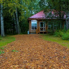 Гостевой дом Сибирская усадьба Н. А. Лампсакова, Асиновский район, Томская область