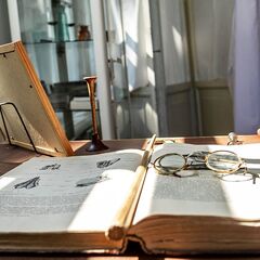 Гостевой дом Сибирская усадьба Н. А. Лампсакова, Асиновский район, Томская область