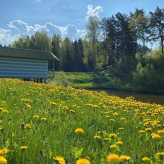Усадьба Запруднево, Зубцовский район, Тверская область