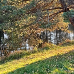 Усадьба Запруднево, Зубцовский район, Тверская область