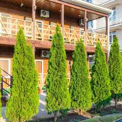 Эко-отель Южный бриз, Анапа, Краснодарский край