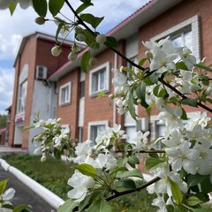 Санаторий Маян, Свердловская область