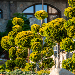 Гостевой дом Замок, Ялта, Крым