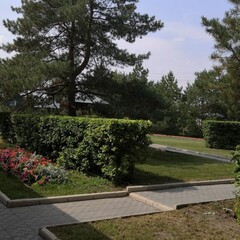 Санаторий-профилакторий Карасук, Карасук, Новосибирская область