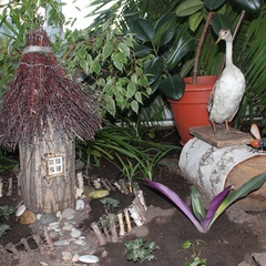 Санаторий-профилакторий Карасук, Карасук, Новосибирская область