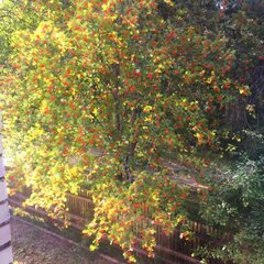 Отель Каморка с Лежанкой у Окна, Одинцовский район, Московская область