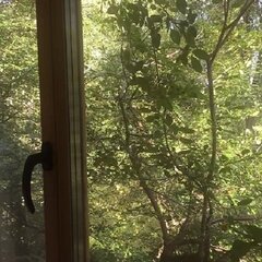 Отель Каморка с Лежанкой у Окна, Одинцовский район, Московская область