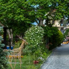 Отель Chveni Ezo Boutique Hotel, Батуми