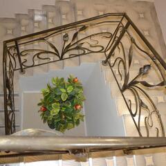 Гостевой дом Лонгвина, Алушта, Крым