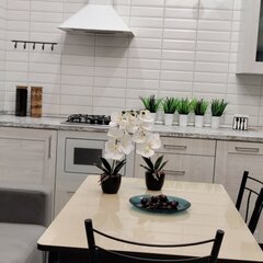 Частный дом рядом с Волгой, Камышин, Волгоградская область