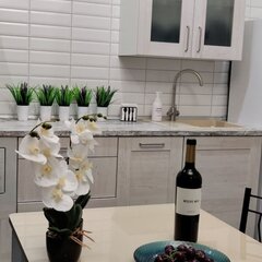 Частный дом рядом с Волгой, Камышин, Волгоградская область