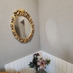 Частный дом рядом с Волгой, Камышин, Волгоградская область