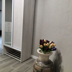 Частный дом рядом с Волгой, Камышин, Волгоградская область