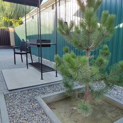 Коттедж на Комсомольской, Камышин, Волгоградская область