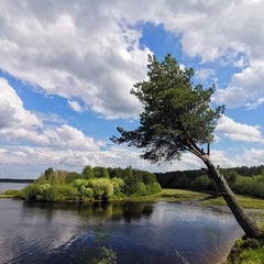 Загородный отель Точка на карте Лодейное Поле, Лодейнопольский район, Ленинградская область