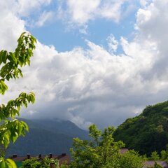 Отель Orange Robots, Сочи, Краснодарский край