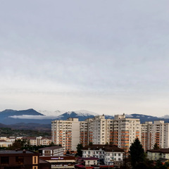 Апартаменты Акаций 34, Сочи, Краснодарский край