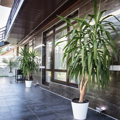 Гостиница Султан, Туапсинский район, Краснодарский край