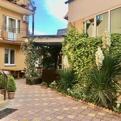 Гостевой дом Дом с дельфинами, Сочи, Краснодарский край