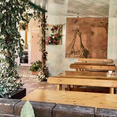 Гостевой дом Дом с дельфинами, Сочи, Краснодарский край