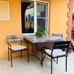 Гостевой дом Дом с дельфинами, Сочи, Краснодарский край