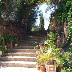 Гостевой дом Адель, Симферопольский район, Крым