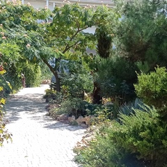 Гостевой дом Адель, Симферопольский район, Крым