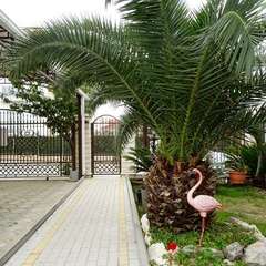 Гостевой дом Aerostar Guest House, Сочи, Красноярский край