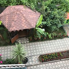 Гостевой дом Aerostar Guest House, Сочи, Красноярский край