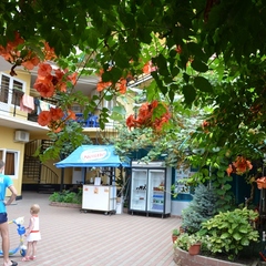 Гостевой дом Ема, Сочи, Краснодарский край