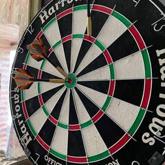 Загородный отель Alpha garden, Гурьевский район, Калининградская область