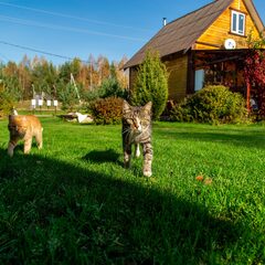 Агроусадьба Павлова, Калязинский район, Тверская область