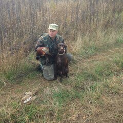 Агроусадьба Павлова, Калязинский район, Тверская область