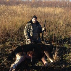 Агроусадьба Павлова, Калязинский район, Тверская область