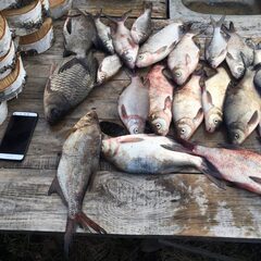 Агроусадьба Павлова, Калязинский район, Тверская область