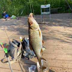 Агроусадьба Павлова, Калязинский район, Тверская область