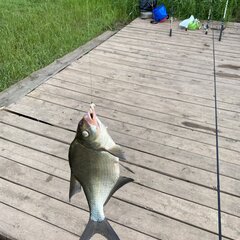 Агроусадьба Павлова, Калязинский район, Тверская область