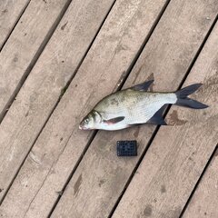 Агроусадьба Павлова, Калязинский район, Тверская область