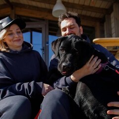 Коттеджный комплекс Сова Сказка, Ломоносовский район, Ленинградская область