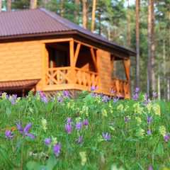 База отдыха ЭРАНДЭЛ, Чемальский район, Республика Алтай