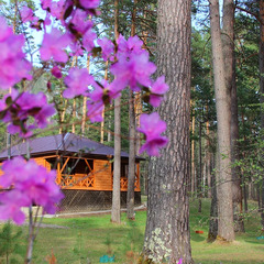 База отдыха ЭРАНДЭЛ, Чемальский район, Республика Алтай