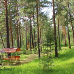 База отдыха ЭРАНДЭЛ, Чемальский район, Республика Алтай