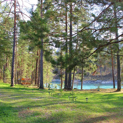 База отдыха ЭРАНДЭЛ, Чемальский район, Республика Алтай